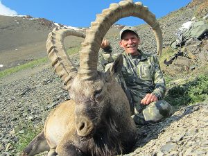 Ibex do Altai