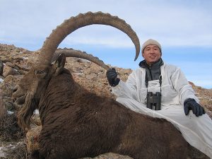 Ibex da Ásia Central